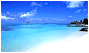beach9.gif